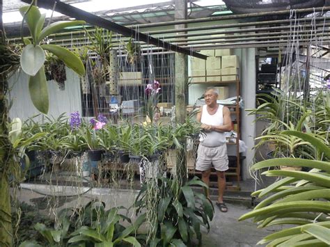 Nah, tanaman ini memiliki bunga yang berwarna merah pekat, sehingga disebut bunga lipstik merah. Hidup Yang KetentuanNYA: Kebun Orkid - Bunga Orkid