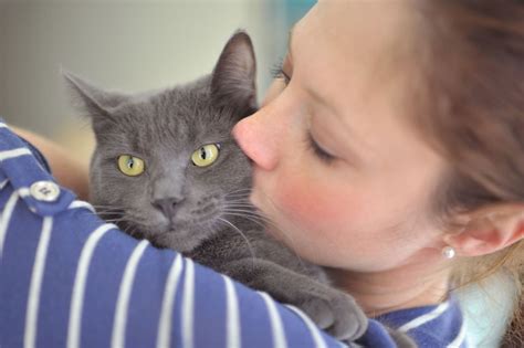 We did not find results for: 5 Ways Cats Show Their Love To Owners - Cat Fancast