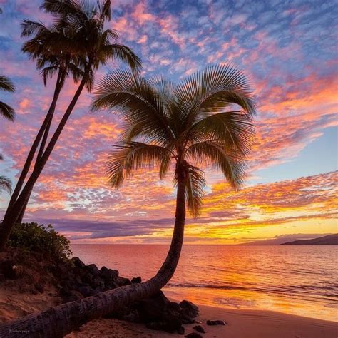 Pin By Sandy Victor On Hawaii Nature Photography Beach Photography