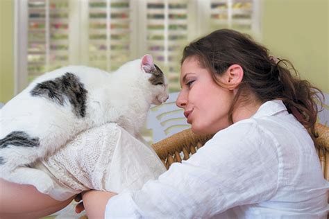 Scientists don't know exactly how catnip works on cats, or why evolution has hung on to the version of the gene that makes them go crazy for it. Cat Communication: How to Talk to and Understand Your Cat ...