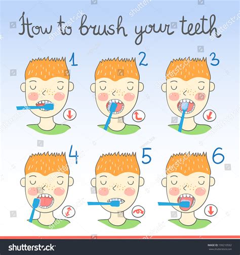 Instructions On How Brush Your Teeth Stock Vector 199210592 Shutterstock