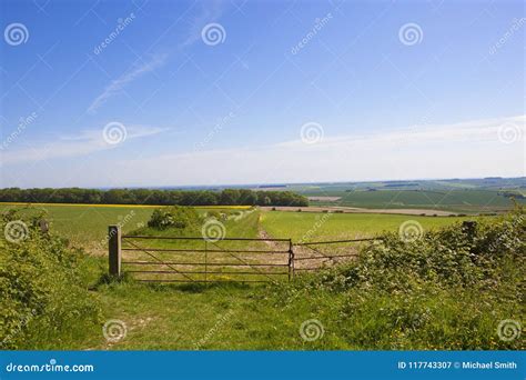 Scenic Farmland Of The Yorkshire Wolds In England Stock Image Image