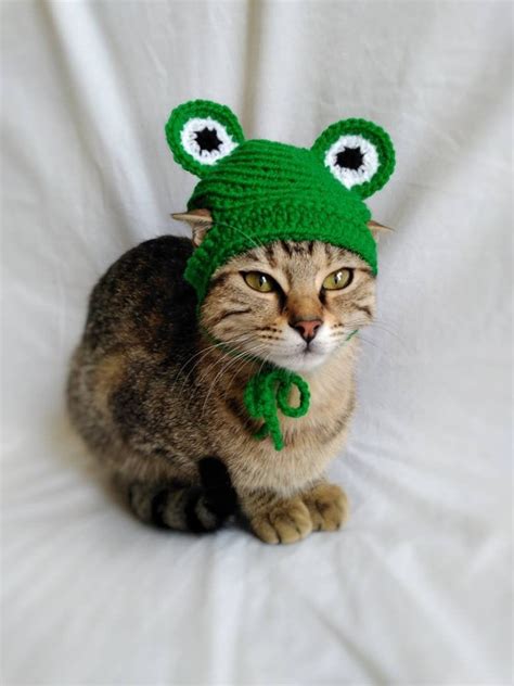 Knitted Frog Hat Cat Costume Ubicaciondepersonascdmxgobmx