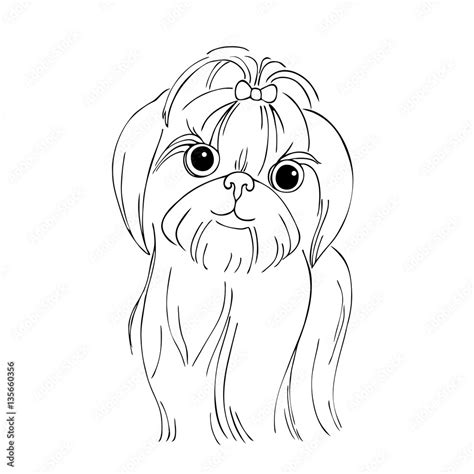 Vetor De Vector Monochrome Contour Illustration Of Shih Tzu Dog Do