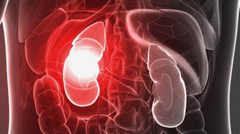 Диета для почечная недостаточность Не можете сосредоточиться, чувствуете усталость? Почечная Не можете сосредоточиться, чувствуете усталость? Почечная Диета для почечная недостаточность