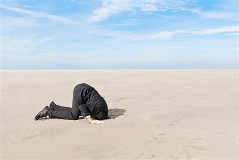 Hiding Head In Sand Stock Photo Download Image Now Istock