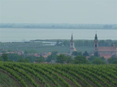Austria Burgenland Neusiedler See Vineyards Village And Lake