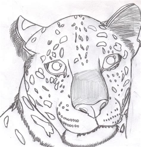 Https://tommynaija.com/draw/how To Draw A Baby Amur Leopard