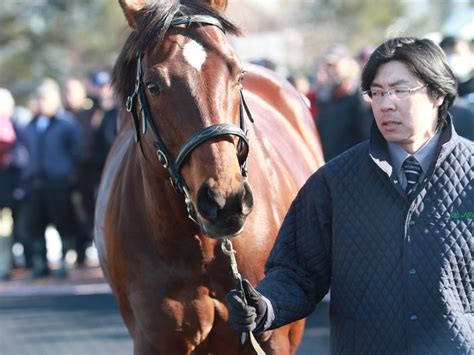 うまレター北国定期便 : JBBA胆振・静内種馬場種牡馬展示会