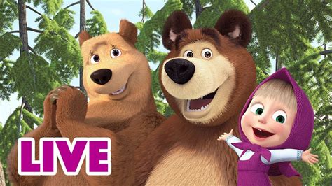 🔴 Live Stream 🎬 Masha And The Bear 🐻👱‍♀️ Know Your Roots ☺️ Youtube