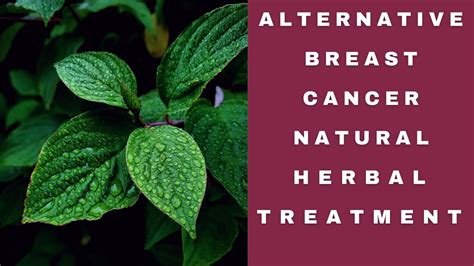 Alternative Breast Cancer Natural Herbal Treatment Youtube