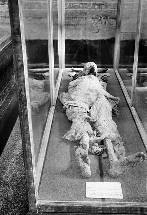 Egyptian Mummy Photograph By Granger Fine Art America