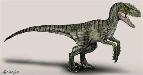 Jurassic World Velociraptor Charlie By Nikorex On Deviantart