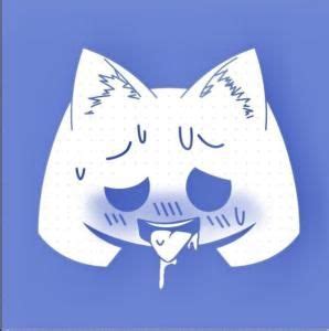 Discord Anime Cat Discord Pfp