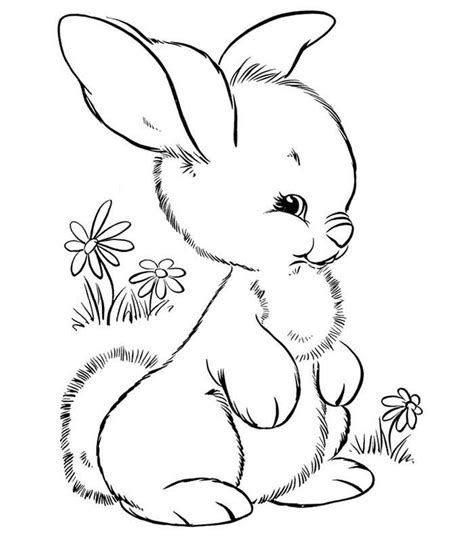 Right now, i propose farm animal outlines coloring pages for you, this content is related with cars coloring pages for 10 year old boys. 70+ Animal Colouring Pages Free Download & Print! | Free & Premium Templates