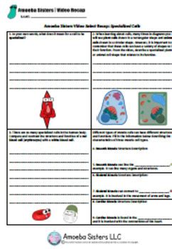 Worksheets provide excel users that have many features. Specialized Cells- SELECT Handout + Answer Key by The ...