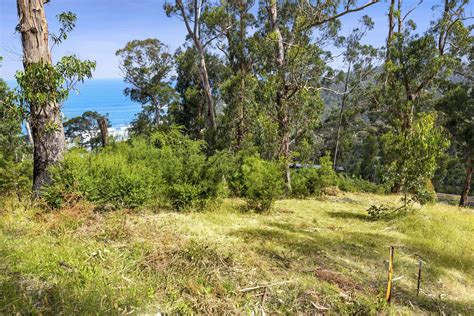 Visit alibaba.com for these outstanding river cabins that come in the right size to reduce water splash. Real Estate For Sale - 45 Karingal Drive - Wye River , VIC