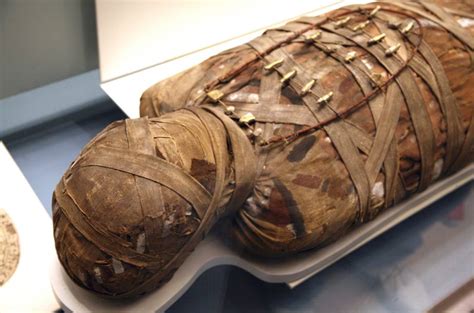 Art Meds And Fuel The Surprising Historical Uses Of Ancient Mummies Ancient Origins