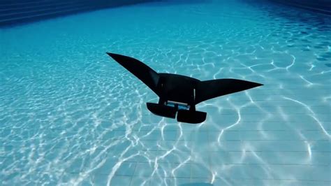 Mantadroid Could Be The Wet Electric Flapping Robotic Sea Scout Of