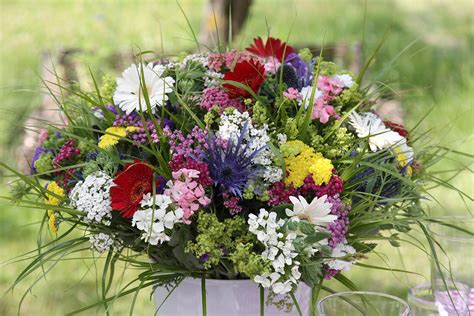 Überfüllte mülleimer in städten und komposthaufen im garten ziehen selbst scheue füchse an. Frisch gepflückt - Blumensträuße aus dem Garten - Gartenzauber