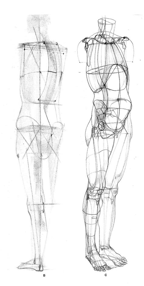 28 idees de arm man draw anatomy dessin anatomie dessin corps images