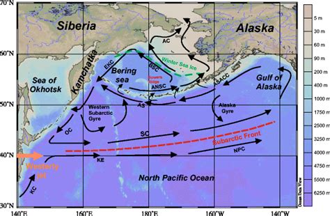 Overview Of Ocean Circulation Black Arrows In The North Pacific Ocean