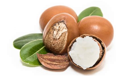 Brown butter is a classic french staple that is used in both savory and dessert recipes. What Is Shea Butter Made From?