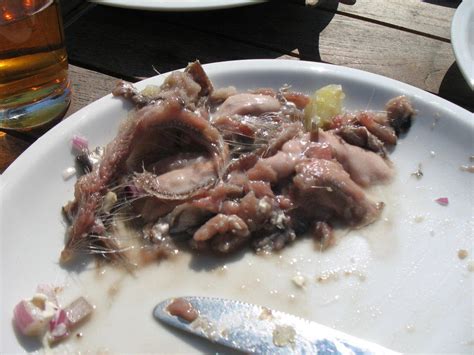 The baltic herring, known as strömming in swedish. Bild "Original Surströmming" zu Restaurang Fiskevistet in ...