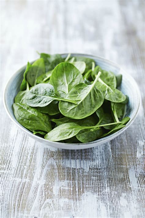Five types of true spinach are widely cultivated, along with a few imposters that ride along on the name. Van eikenblad tot frisée: 5 verschillende soorten sla ...