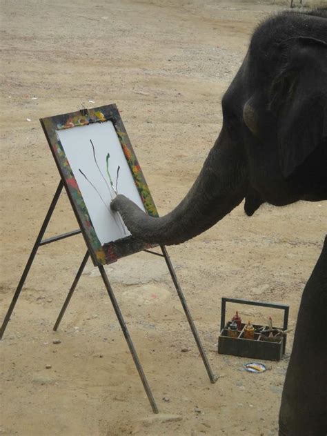 Elephant Artists Painting Elephants Make Elephant Art