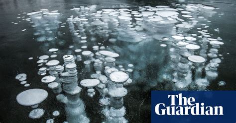 Frozen Bubbles In Canadian Lakes In Pictures World News The Guardian