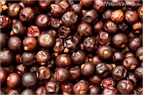 That of turpentine from pine. Jałowiec / Juniper Berries » Coffee & Vanilla | Juniper ...