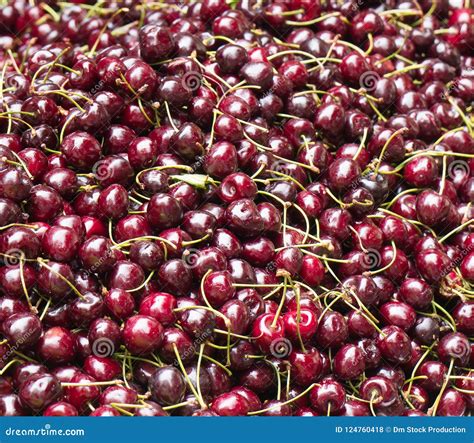Lot Of Ripe Red Cherries Stock Photo Image Of Natural 124760418