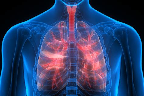 Dabei orientiert sich der arzt am sogenannten sekundenwert (fev1). Begeleiding fysiotherapie bij COPD - Fysiotherapie Molenhoek