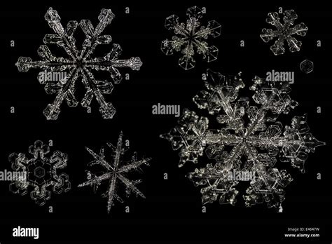 Different Snowflakes Showing Range In Size And Pattern Magnified Under