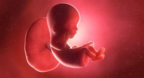 Neumonía En Recién Nacidos Qué Es Tipos Y Causas