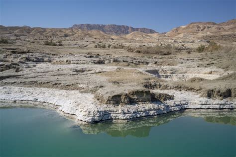 Salt Sediments On The Dead Sea Shore Stock Photo Image Of Coastline