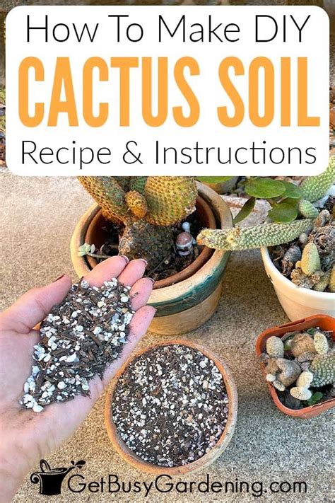 How To Make Your Own Cactus Soil Mix With Recipe Cactus Diy