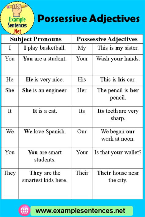 Possessive Adjectives Sentences And Definition Example Sentences Learn English Grammar