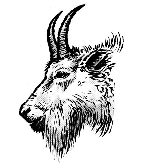 Demon Goat Head Drawing Sketch Coloring Page