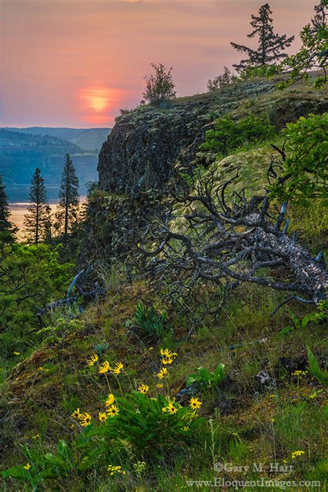 Depth Of Field Eloquent Nature By Gary Hart