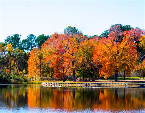 Fall Lake Scene Gorgeous Autumn Trees Reflect Fall Color