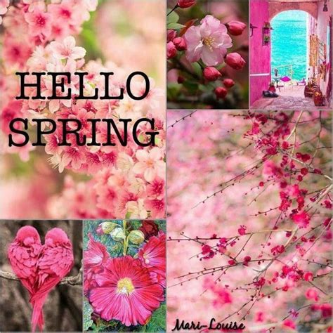 Hello Spring Bliss Seasons Lovely Collages Pretty Flowers