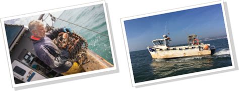 Reserve Seafood - Lyme Bay Reserve fishery