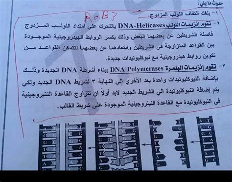 غرفة الاخبار | طلاب النظام الحديث يؤدون اليوم امتحان الأحياء و الجغرافيا والرياضيات التطبيقية. حمل نموذج إجابة امتحان الاحياء لطلاب ثالثة ثانوي عام ...