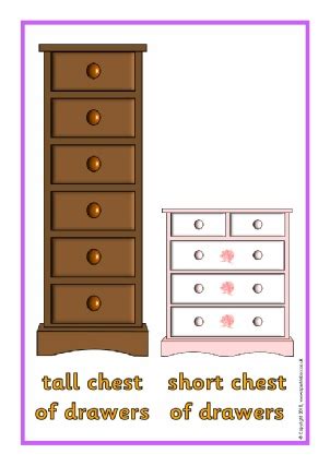 FREE Size Ordering and Comparing Primary Teaching Resources - SparkleBox