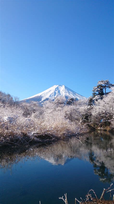 Free Images Landscape Nature Wilderness Snow Winter Morning