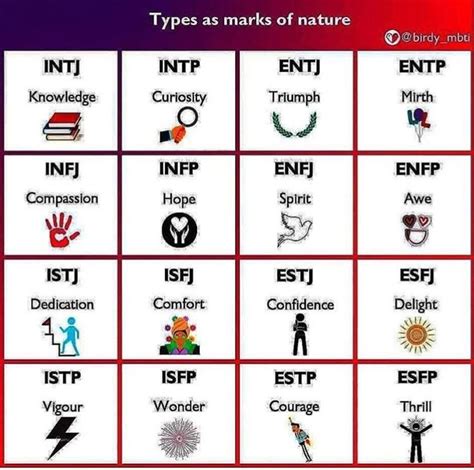 Enfpa How Cute Istp Personality Infj Personality Mbti