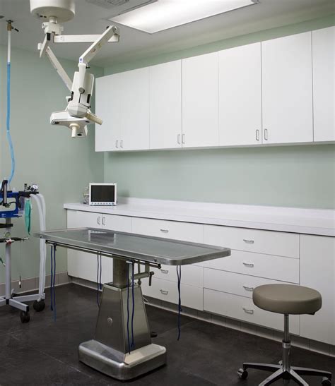 Speaking of surgeries, amber vet is one of the few vet clinics in singapore that conduct chemotherapy and advanced surgery such as laparoscopy. Advanced Vet Care - Prava CSI