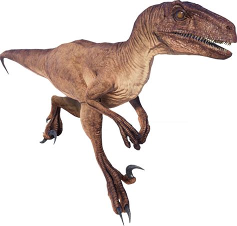 Velociraptor Jurassic Park 3 Feathers